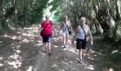 Trail Walking Cousolre - Le canari 04 09 21 - Photo 4