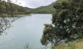 Tocht Stappen Carcès - Promenade Chutes du Caramy et lac de Carcès  - Photo 5