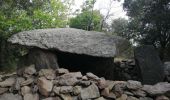 Tour Wandern Laroque-des-Albères - Dolmen - Photo 6