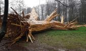 Trail Walking Houppeville - foret monumental - Photo 14