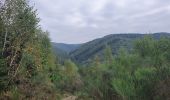 Tocht Stappen La Roche-en-Ardenne - rando samrée 21/09/2021 - Photo 8