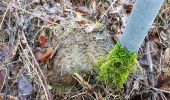 Percorso A piedi Böblingen - DE-SAV Blauer Punkt, Böblingen Lange Schläge - Katzenbacher Hof - Büsnau - Photo 7