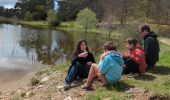 Tour Wandern Bayons - Descente lac des Monges - Photo 1