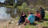 Percorso Marcia Bayons - Descente lac des Monges - Photo 1