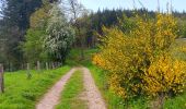 Randonnée Marche Stoumont - stoumont :  aller via corniche , retour via amblève - Photo 12