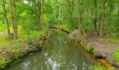 Tour Zu Fuß Lübben (Spreewald) - Wanderweg Radensdorf-Polenzschenke-Burg - Photo 7