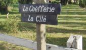 Randonnée A pied Coësmes - Chemin des Saulniers - Photo 4