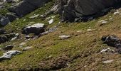 Trail Walking Val-Cenis - Val Cenis -  boucle par les crêtes de Montiolit - Photo 3