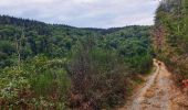 Tocht Stappen Vresse-sur-Semois - Promenade de la Croix - Bohan - Photo 8