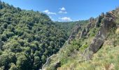 Trail Walking Chauchailles - Gorges du Bèz sentier des espagnols - Photo 9