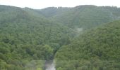 Randonnée A pied La Roche-en-Ardenne - 1.Crestelles - Photo 4