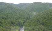 Trail On foot La Roche-en-Ardenne - 6.A l'Ewe - Photo 4