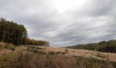 Randonnée Marche Chaudfontaine - via bois des dames et bois de la rochette  - Photo 5