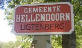 Randonnée A pied Hellendoorn - WNW Twente - Ligtenberg - paarse route - Photo 2
