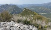 Trail Walking Roquestéron - Roquesteron : la cime de la Cacia - Photo 5