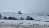 Randonnée Marche Besse-et-Saint-Anastaise - Les 3 lacs et la cascade  - Photo 8