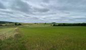 Randonnée Marche Wincrange - Escapardenne Eisleck Trail: Moulin d'Asselborn - Houffalize - Photo 4