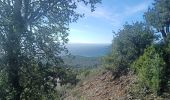 Excursión Ruta Bormes-les-Mimosas - Pointe du Diable et de Estagnol  - Photo 5