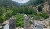 Trail Walking Pied-de-Borne - Le tour du chassezac - Photo 4