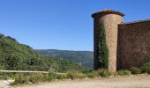 Tocht Mountainbike La Môle - La Mole - Barrage de La Verne - Chartreuse de La Verne - Capelude - Retour La Mole par les crêtes - Photo 13