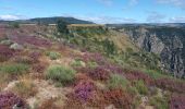 Trail Walking Pourcharesses - au coeur des gorges du chassezac au départ de Villefort  - Photo 11