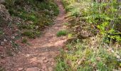 Trail Walking Collonges-la-Rouge - colonge - Photo 12