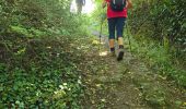 Trail Walking Unknown - Lavardin - Chemin de la roue des Carriers - Photo 18