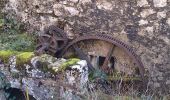 Excursión Senderismo Chézery-Forens - Au fil de la Valserine - Photo 3