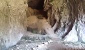 Randonnée Marche Choranche - Presles grotte de Gournier et de balme rousse - Photo 3