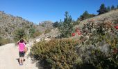 Tour Wandern Mévouillon - montagne du Buc - Photo 3