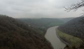 Excursión Senderismo Dinant - Lesse toi surprendre (Dinant)  - Photo 3