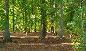 Trail Walking Chastre - Balade de la fontaine Saint Géry à Chastre - Photo 2