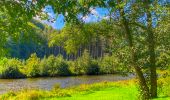 Randonnée Marche Bouillon - Balade au fil du ruisseau des Aleines - Les Hayons - Photo 1