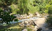 Trail Walking Villeneuve-Loubet - Les Rives du Loup, de Villeneuve L. Médiathèque à La Colle sur Loup - Photo 2