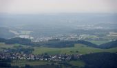 Tour Zu Fuß Arnsberg - Ochsenkopf-Rundweg - Photo 6