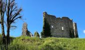 Tour Wandern Cipières - Cipieres : le grand Pounch - Photo 3