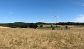 Tocht Stappen Salles-Curan - Randonnée des Éoliennes  - Photo 3