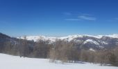 Randonnée Raquettes à neige Colmars - LAUPON 23.02.19 - Photo 7