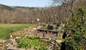 Tour Wandern Les Ollières-sur-Eyrieux - la croix du banc - Photo 12