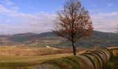 Trail On foot Pennabilli - IT-099 - Photo 1