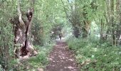 Trail Walking Saint-Pierre-en-Auge - Le Billot  - Photo 8