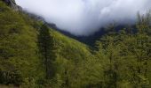 Trail Walking Le Chaffal - La Vacherie Comberoufle pas de la Sausse 19 05 21 - Photo 2