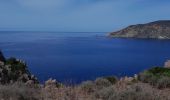 Randonnée Marche Cargèse - la Tour de cargese Corse - Photo 3