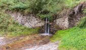 Trail On foot Rabbi - Sentiero di Passo Cercen - Photo 1