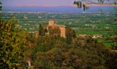 Tour Zu Fuß Quattro Castella - Percorso del Parco Bianello - Photo 2