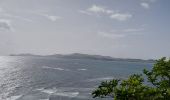 Tour Wandern La Trinité - cosmy- anse Richer-anse Lahoussaye-Etoile- anse Azerot-Cosmy - Photo 20