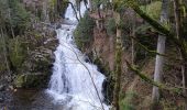 Tocht Stappen Sapois - balade Vosges  - Photo 2