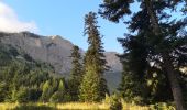 Tocht Stappen Poligny - Col de Chétive /Cime du Chamois.  - Photo 4