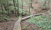 Randonnée Marche Jalhay - La Gileppe - Bois de la Borchêne  - Photo 7