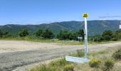 Tocht Stappen Labastide-sur-Bésorgues - la Bastide sur bezorgie - Photo 15